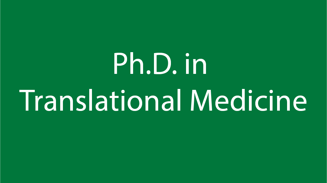 CDT-Africa, Addis Ababa University Ph.D. in Translational Medicine 2024/25 