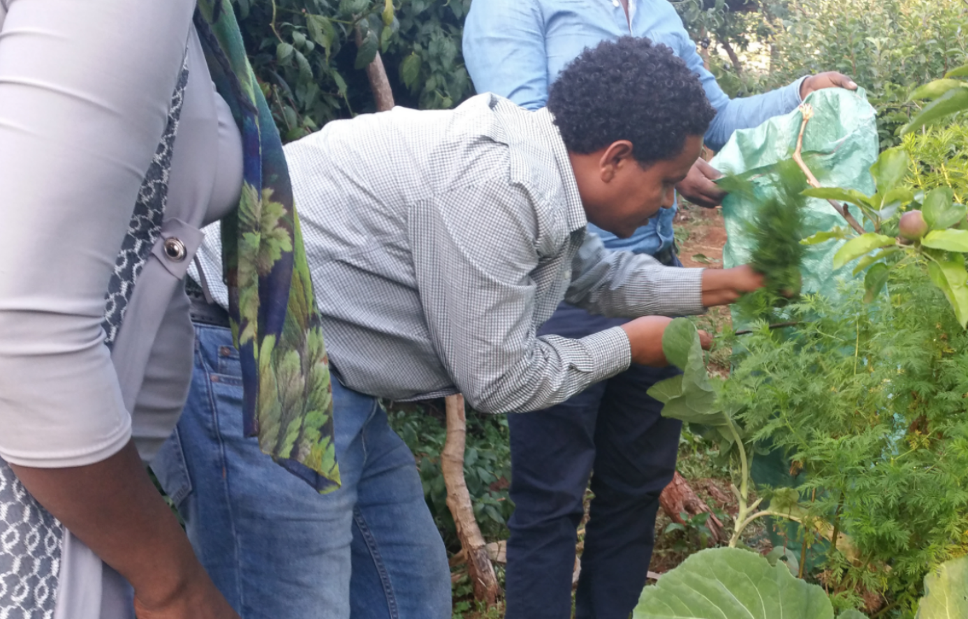 AAU Joins Global Initiative to Preserve Heritage Diets and Advance Health Research